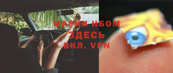 СК Алзамай