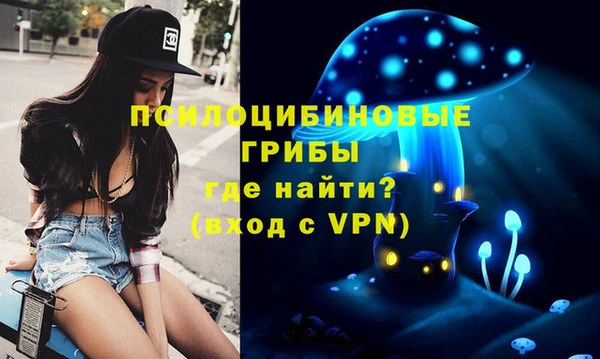 амфетамин Алексеевка