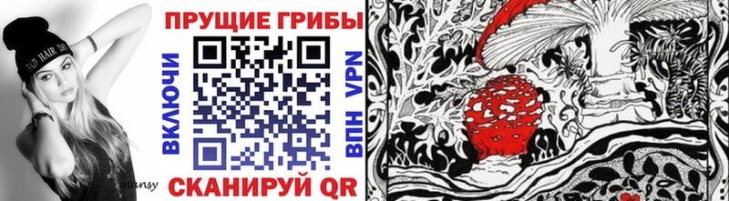 где купить наркоту  darknet Telegram  Галлюциногенные грибы Magic Shrooms  Узловая 
