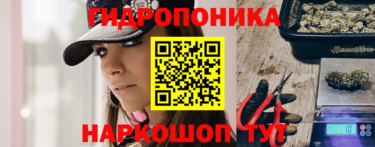 Узловая  Бошки марихуана планчик  Вход с VPN  Марихуана план  Каннабис сатива 